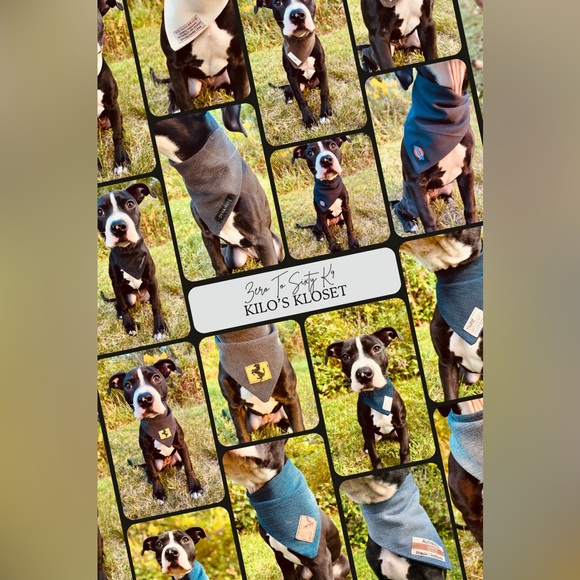 25.75” Wrangler Dog Bandana, Wrangler, Wrangler Jeans, Repurposed, Bandana - Picture 3 of 8